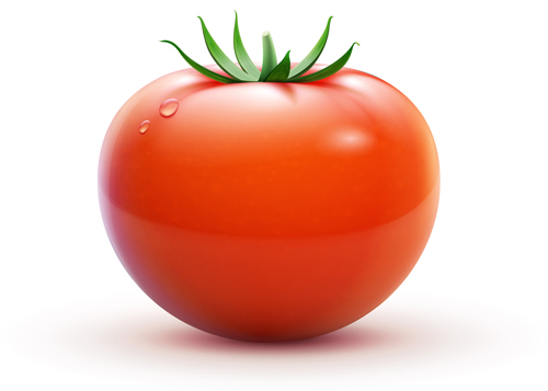 Juicy fresh tomato graphics vector 03