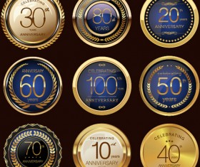 Luxury anniversary glass texture labels vector material