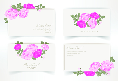 Pink rose with card vector design graphic 02