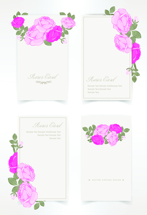 Pink rose with card vector design graphic 03
