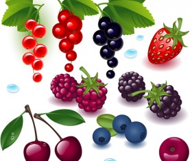 Realistic fruits and berry design vector 01