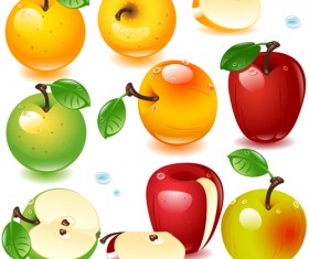 Realistic fruits and berry design vector 02
