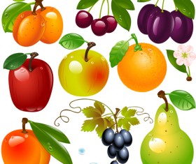 Realistic fruits and berry design vector 04