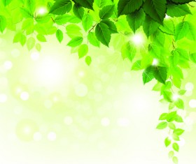 Refreshing green leaves background vector 01