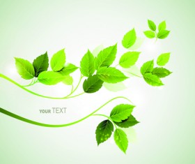 Refreshing green leaves background vector 02