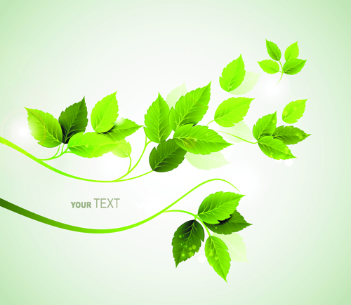 Refreshing green leaves background vector 02