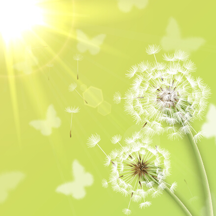 Shiny dandelion vector backgrounds material 04