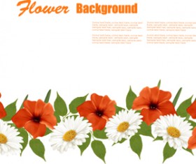 Summer white and orange flowers background vector 01