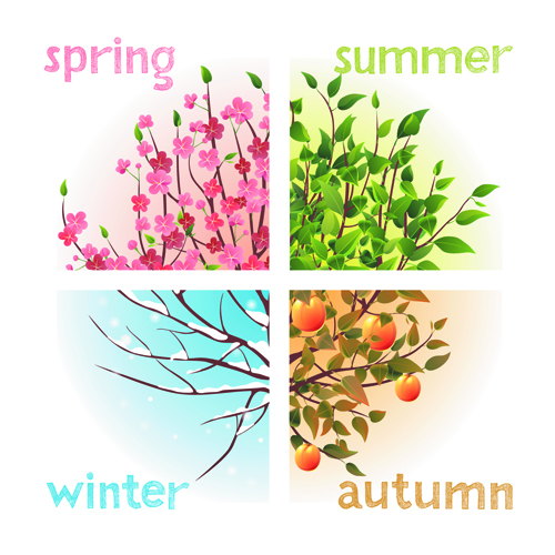 Tree with four seasons vector material 02