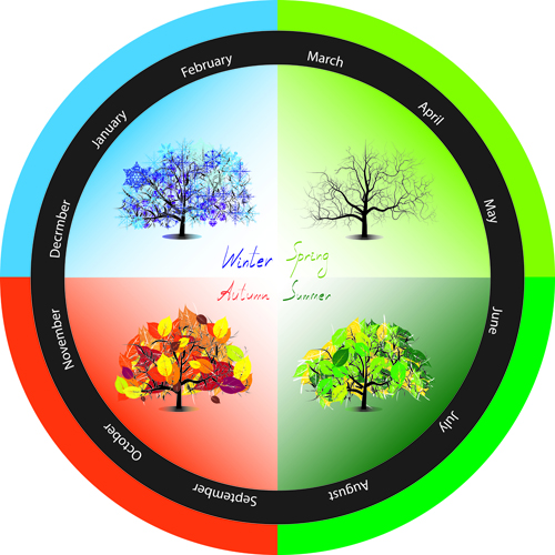 Tree with four seasons vector material 03
