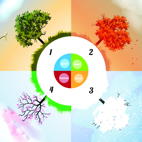 Tree with four seasons vector material 05