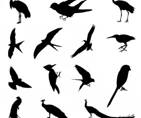 Various birds silhouettes vector set 01