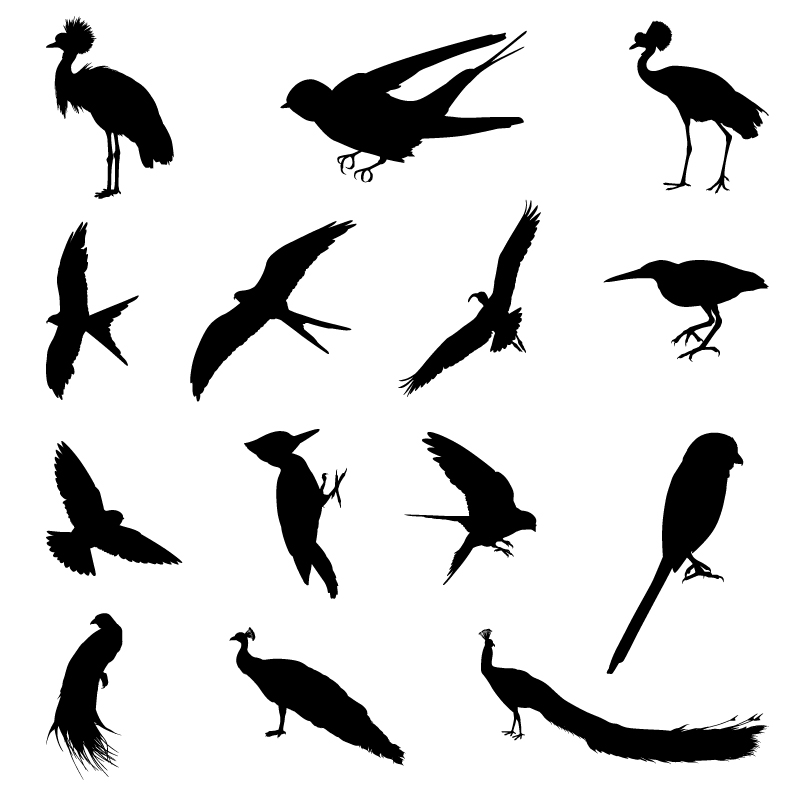 Various birds silhouettes vector set 01