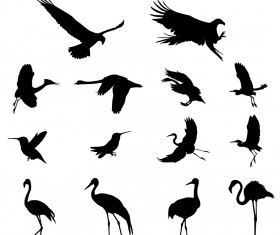Various birds silhouettes vector set 02