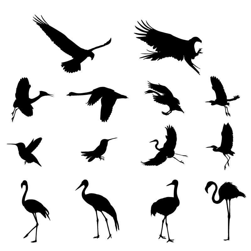 Various birds silhouettes vector set 02