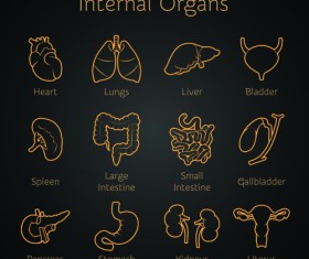 Various internal organs icons design vector 04