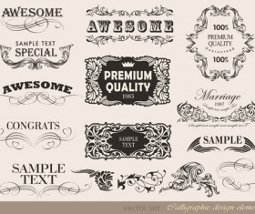 Vector set of calligraphic vintage elements 01