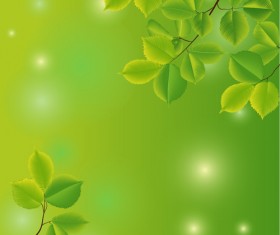 Branches and leaves with green background vector 01