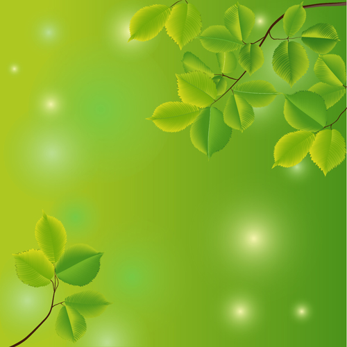Branches and leaves with green background vector 01