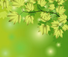 Branches and leaves with green background vector 02