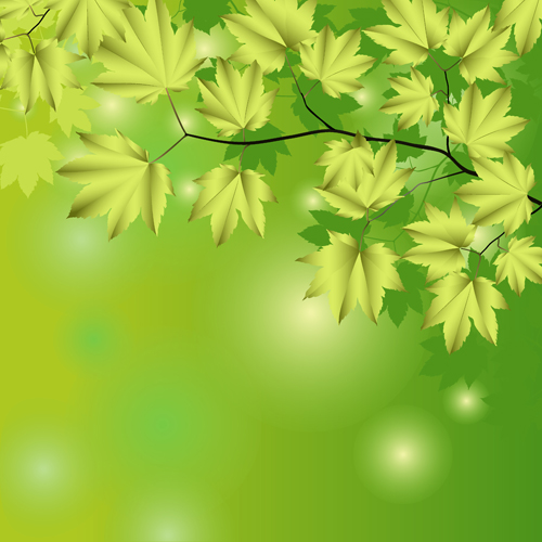 Branches and leaves with green background vector 02