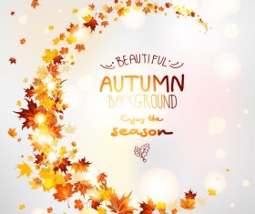Bright autumn leaf backgrounds vector set 01