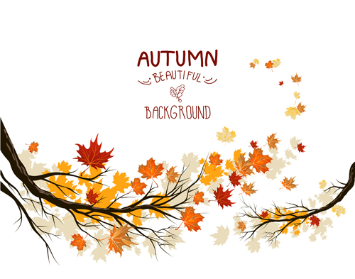 Bright autumn leaf backgrounds vector set 02