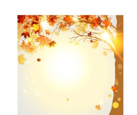 Bright autumn leaf backgrounds vector set 03