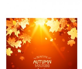 Bright autumn leaf backgrounds vector set 04