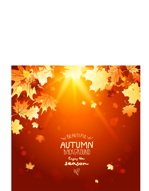 Bright autumn leaf backgrounds vector set 04