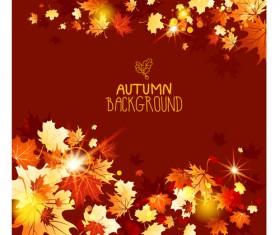 Bright autumn leaf backgrounds vector set 05