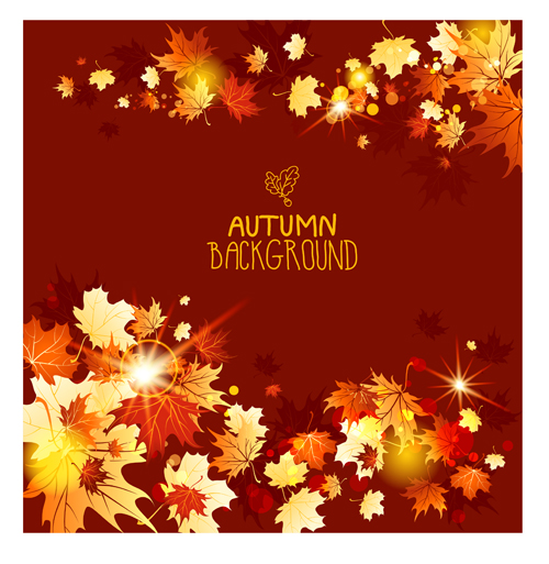 Bright autumn leaf backgrounds vector set 05
