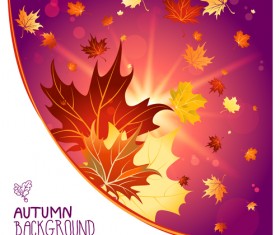 Bright autumn leaf backgrounds vector set 06