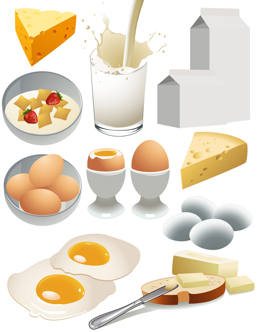 Cheese and dairy products vector material 01