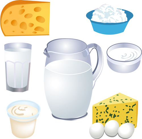Cheese and dairy products vector material 02