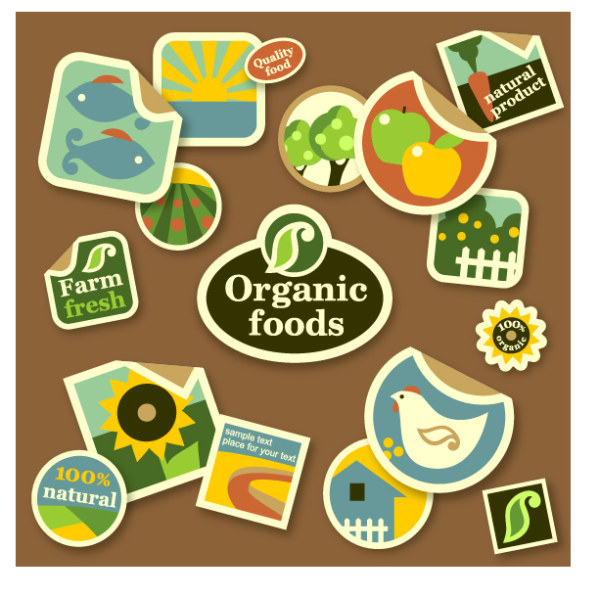 Cute organic foods sticker vector