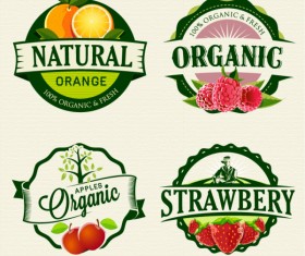 Exquisite fruit labels retro style vector