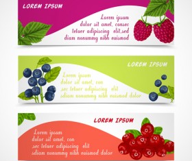 Fresh berry vector banners material