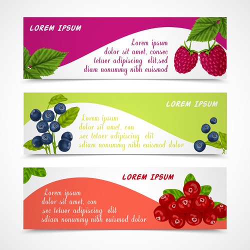 Fresh berry vector banners material