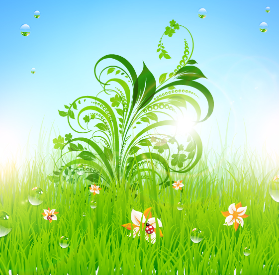 Grass floral and natural vector