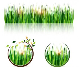 Green grass eco elements vector
