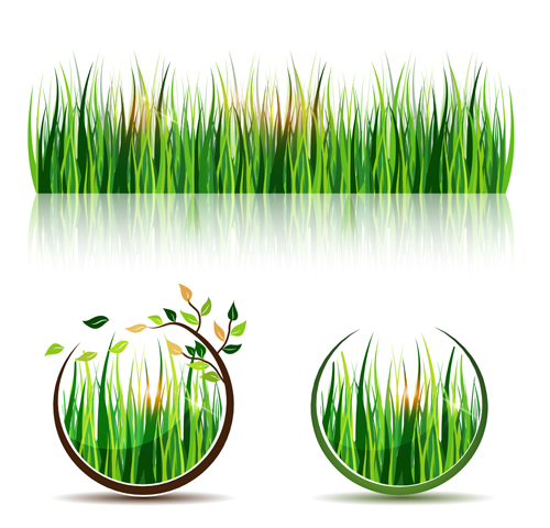Green grass eco elements vector