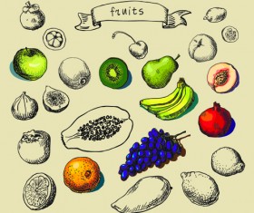 Hand drawn fruit creative vector material