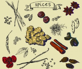 Hand drawn spices creative vector material