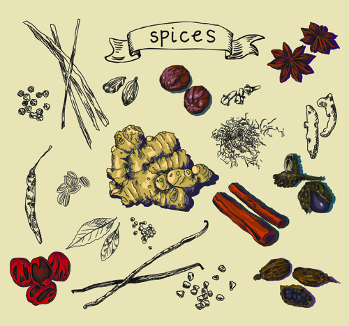 Hand drawn spices creative vector material