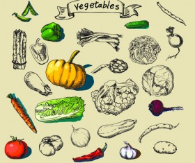 Hand drawn vegetables creative vector material