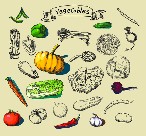 Hand drawn vegetables creative vector material