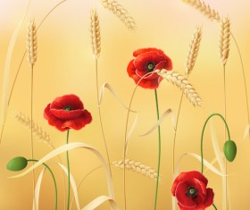 Poppy with wheat design vector background 01