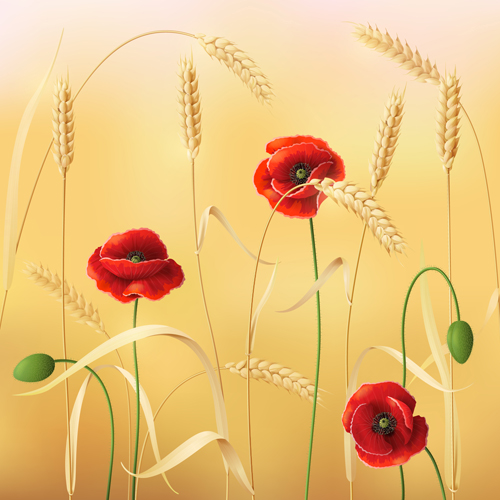 Poppy with wheat design vector background 01