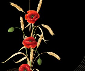 Poppy with wheat design vector background 02